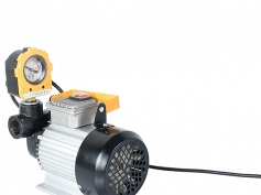 220 v pump with pressure gauge