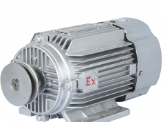 380 v flameproof motor