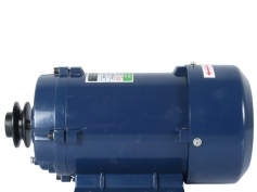 220 v flameproof motor